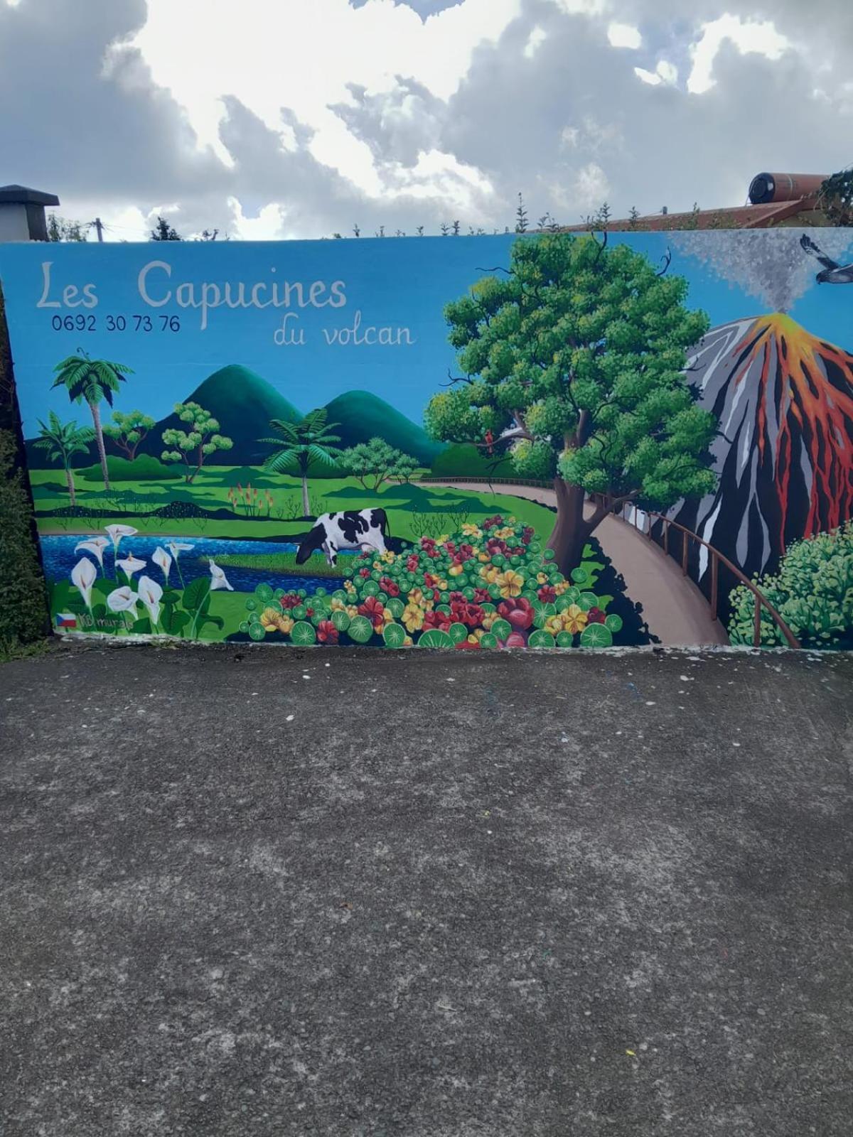 Chambre Cosy Aux Capucines Du Volcan La Plaine Des Cafres Le Tampon Εξωτερικό φωτογραφία